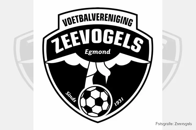 Zeevogels stunt met winst op Kleine Sluis