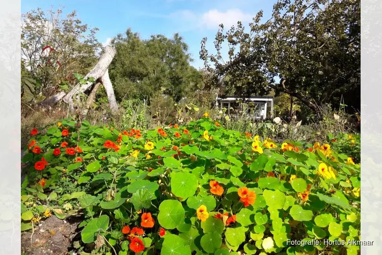 Adopteer een vierkante meter en red Hortus Alkmaar