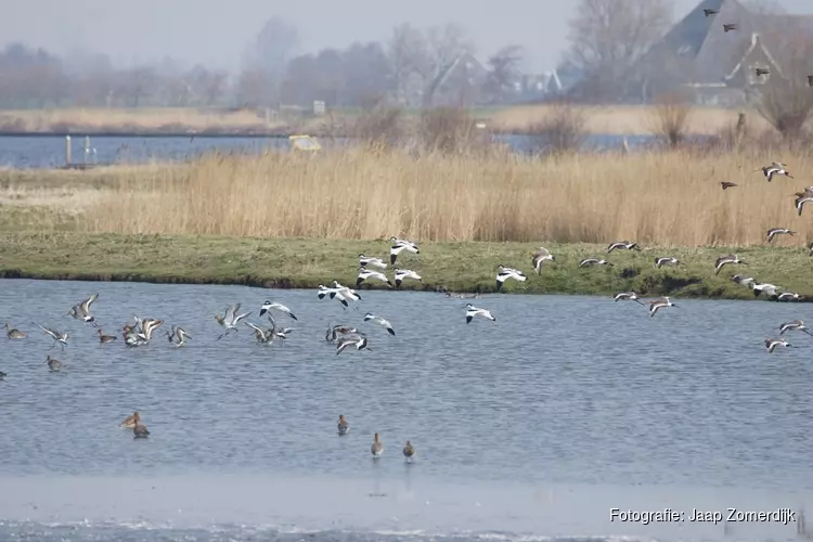 Voorjaarsvaartocht door Eilandspolder