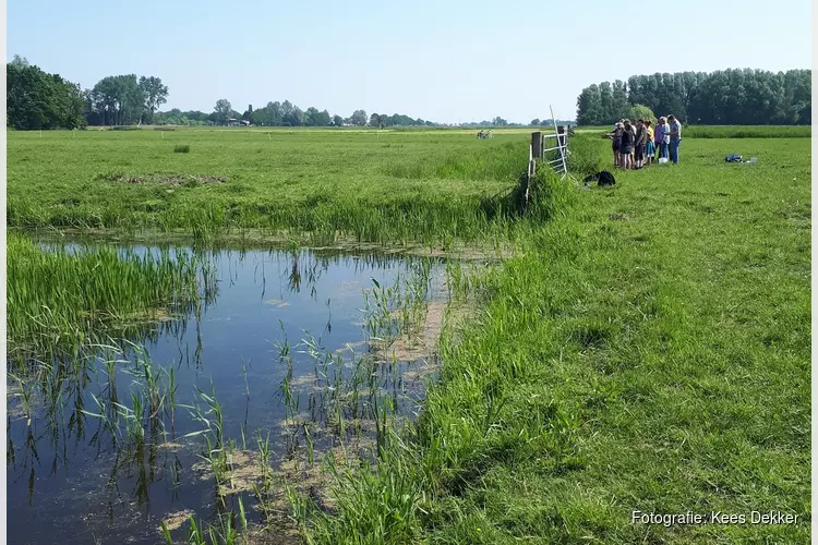 Van bittervoorn tot zwarte zegge, leer alles over oevers!