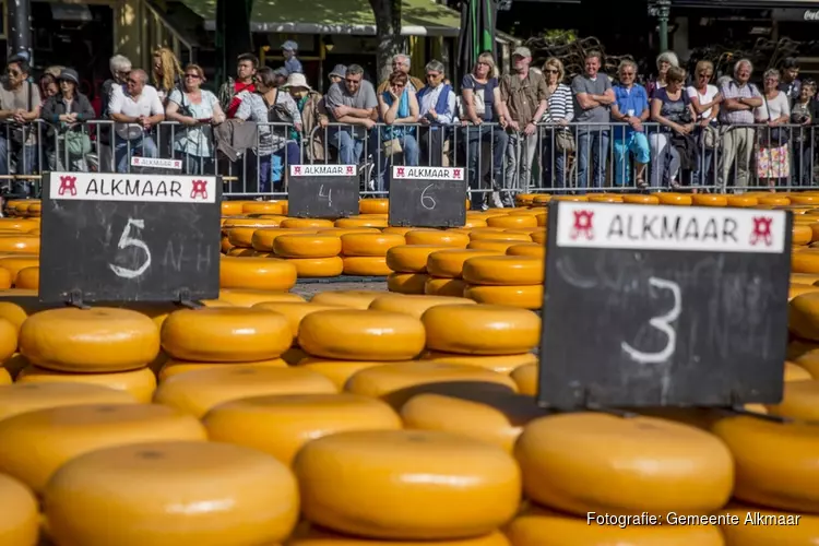 Opening Kaasmarktseizoen Alkmaar in teken van EK wielrennen