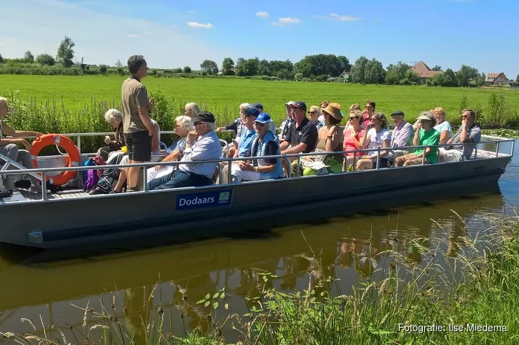 Weidevogels zien vanuit de fluisterboot in Eilandspolder