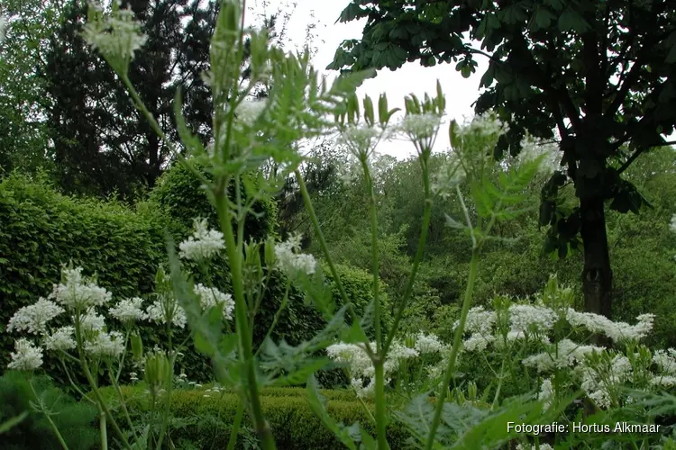 Hortus plantenmarkt op zondag 12 mei