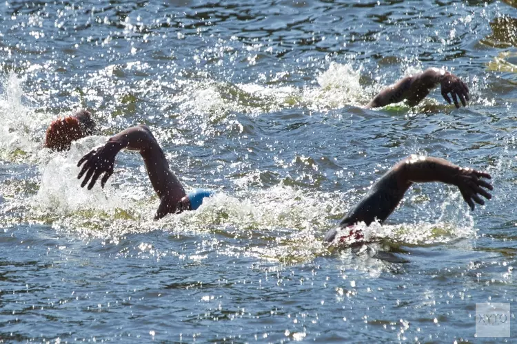 Alkmaar Sport organiseert Open Water Swim Events