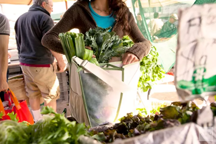 Biologische boerenmarkt zaterdag 29 juni 2019 Recreatiegebied Geestmerambacht