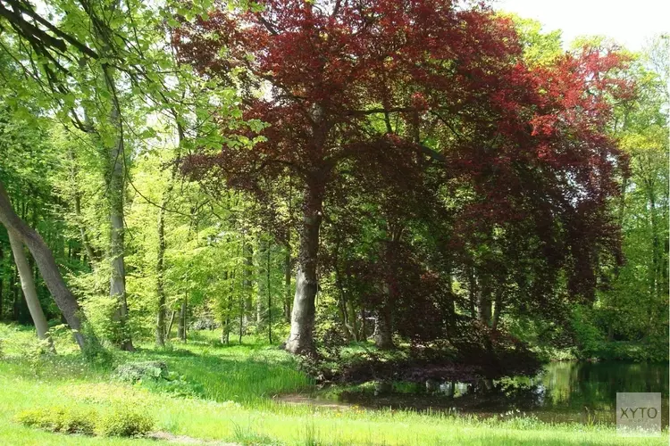 Bezoek de tuinen van Landgoed Nijenburg