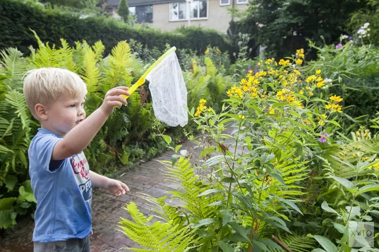 Alkmaar gaat voor groene tuinen