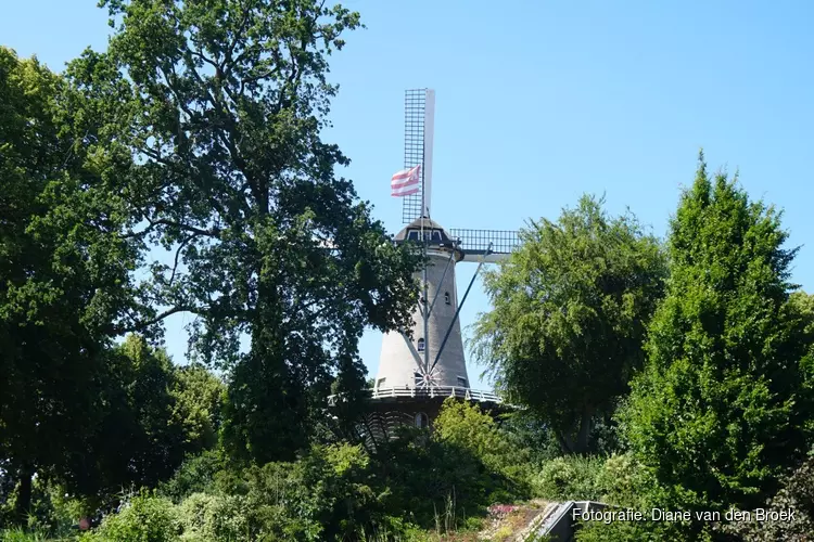Kansen voor duurzame energie in regio Alkmaar