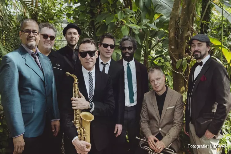 25-jarig New Cool Collective met nieuwe plaat naar Victorie