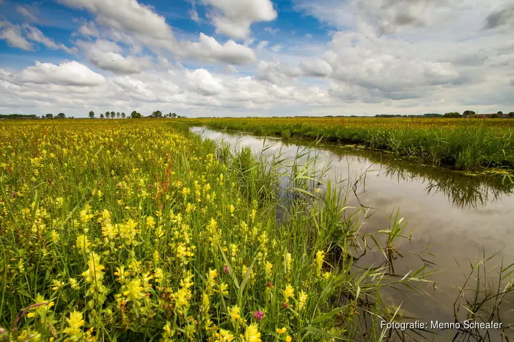 Landschap Noord-Holland zet in op 1 miljoen m2 extra natuur
