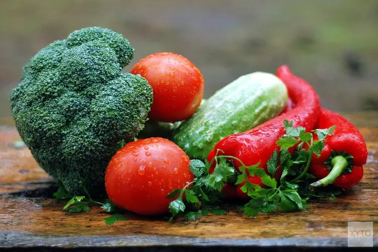 Noord-Holland meest vegetarische provincie van Nederland