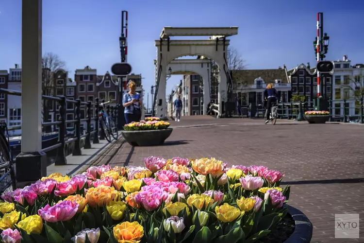 Tulp Festival geeft kleur aan de buurt