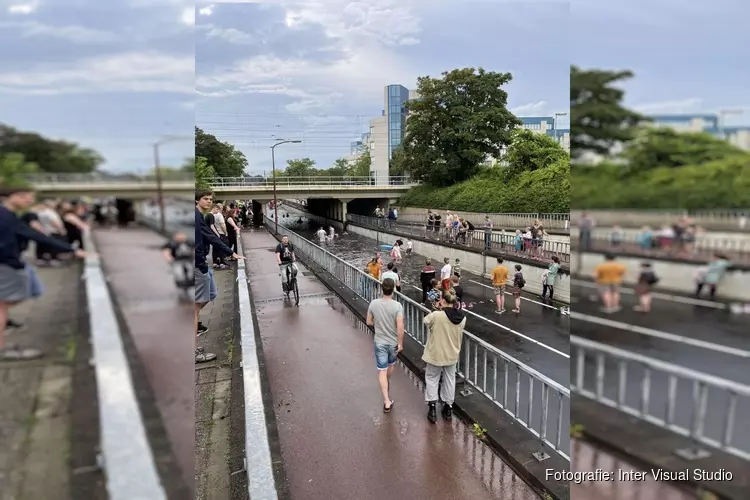 Waterpret onder spoorbrug in Alkmaar