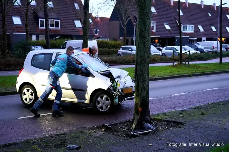 Bestuurster crasht tegen boom in Daalmeer