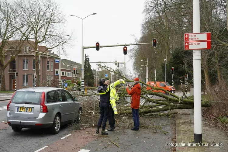 Boom valt op rijdende auto in Alkmaar