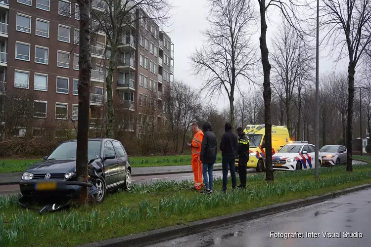 Auto tegen boom gereden in Alkmaar