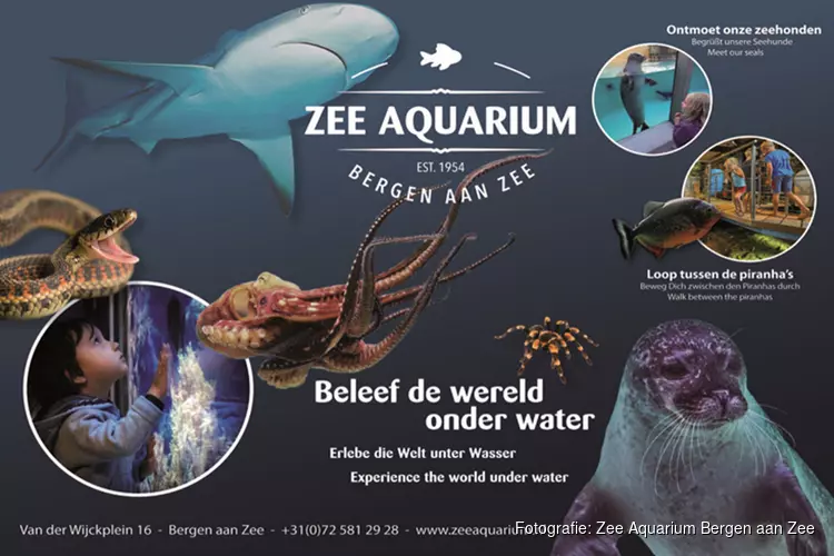 Duik mee, ontdek, beleef, bewonder en verwonder!