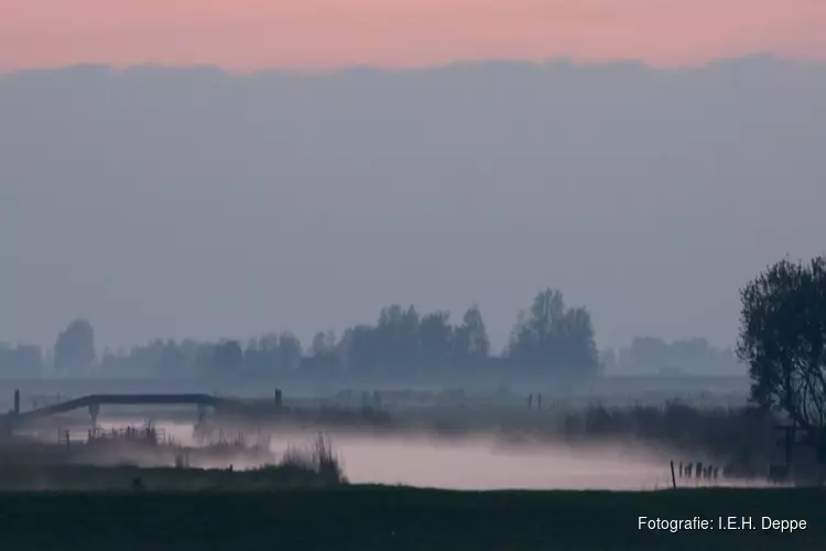 Vroege vogels, vaarexcursie door Eilandspolder