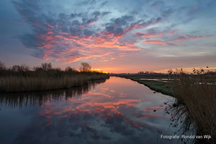 Vaarexcursie voor vroege vogels door de Eilandspolder