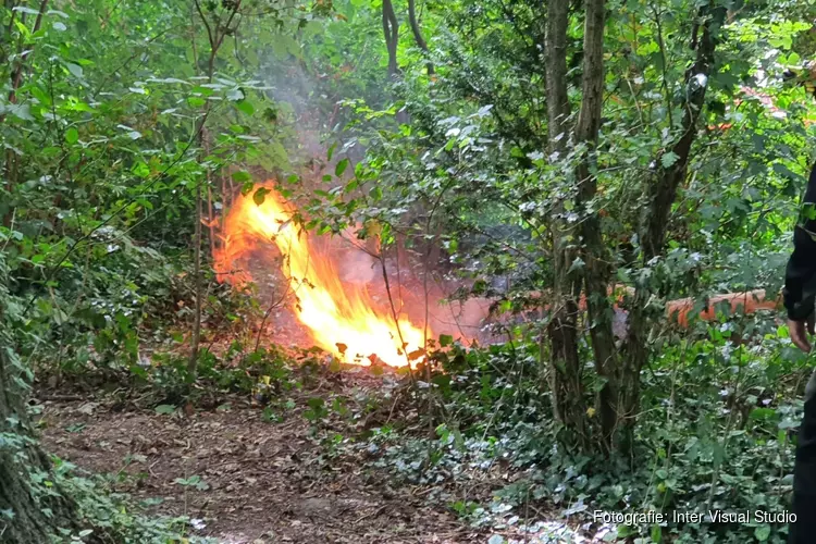 Brand in de bosjes langs Haringvlietpad in Alkmaar