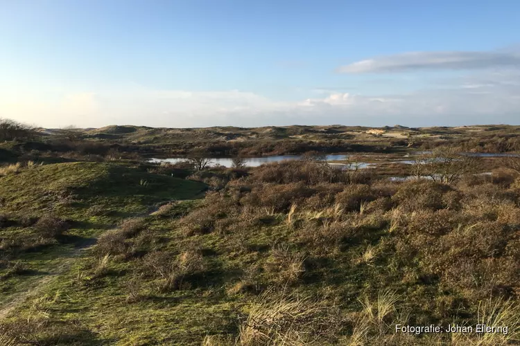 Nieuwjaarsnatuurwandeling IVN in de Wimmenummerduinen op zondag 1 januari 2023