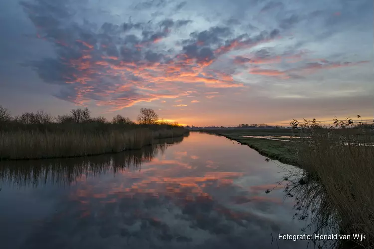 Voor vroege vogels: vaartocht door de Eilandspolder