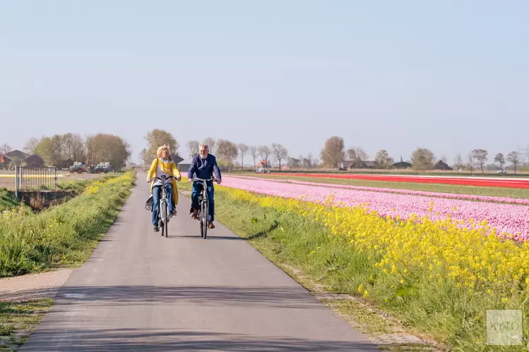 Wereld Fiets Dag: korting op fietsroutes bij Alkmaar Store