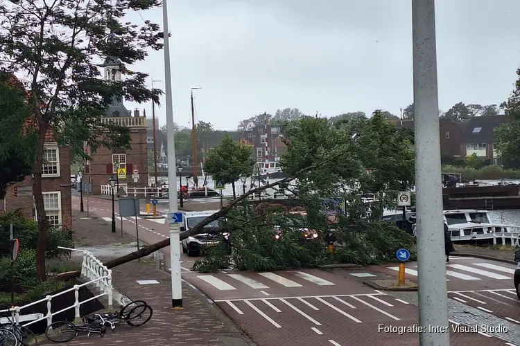 Boom waait om op Alkmaarse Bierkade