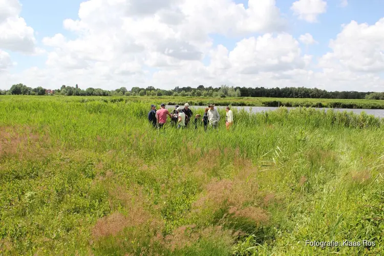 Ga met de natuurgids op zoek naar eetbare planten in de Eilandspolder