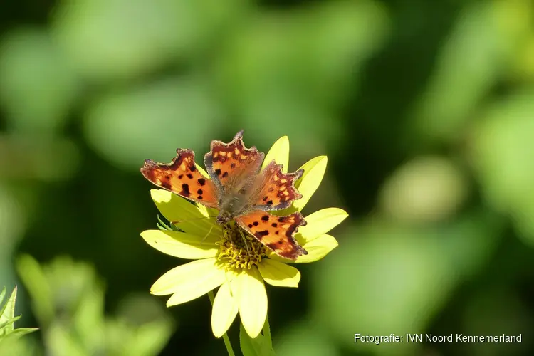 Natuurwandeling in Geestmerambacht op zondagochtend 6 augustus