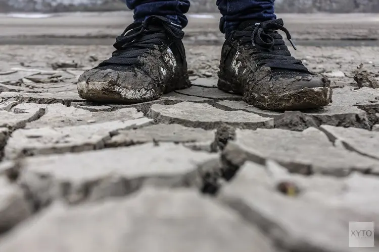 Zijn werkklompen de ideale vervanger van werkschoenen?