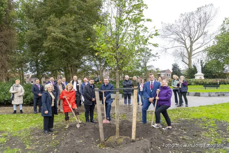 ‘Vriendschapsboom’ geplant ter ere van 65-jarige stedenband met Darmstadt en Troyes