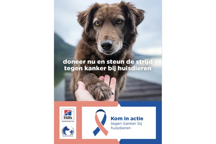 November is Pet Cancer Awareness maand