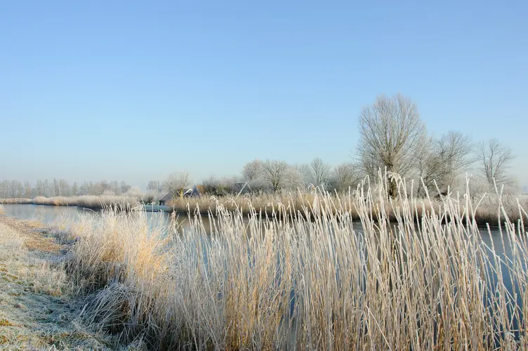 Bekijk de wintergasten van de Eilandspolder vanuit de excursieboot