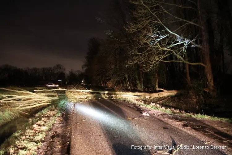 Boom blokkeert weg in Bergen, te gevaarlijk om op te ruimen