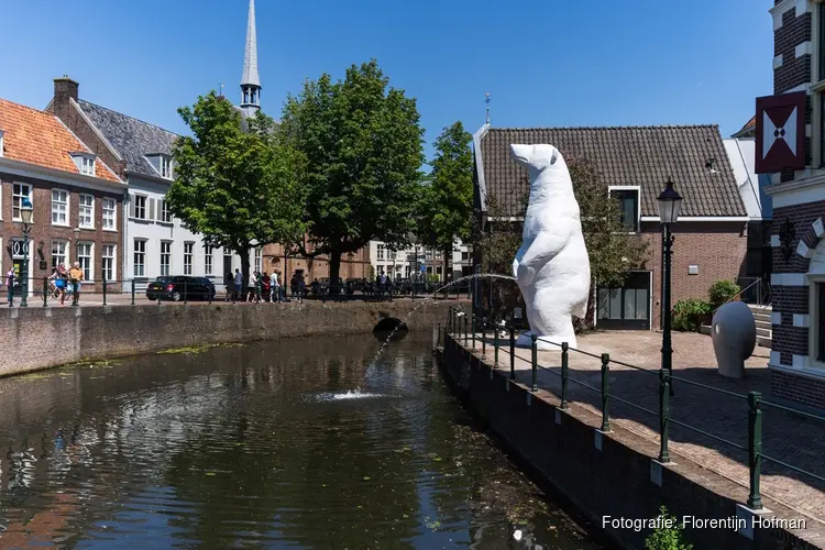 Unieke kans: Plassende ijsbeer naar Alkmaar