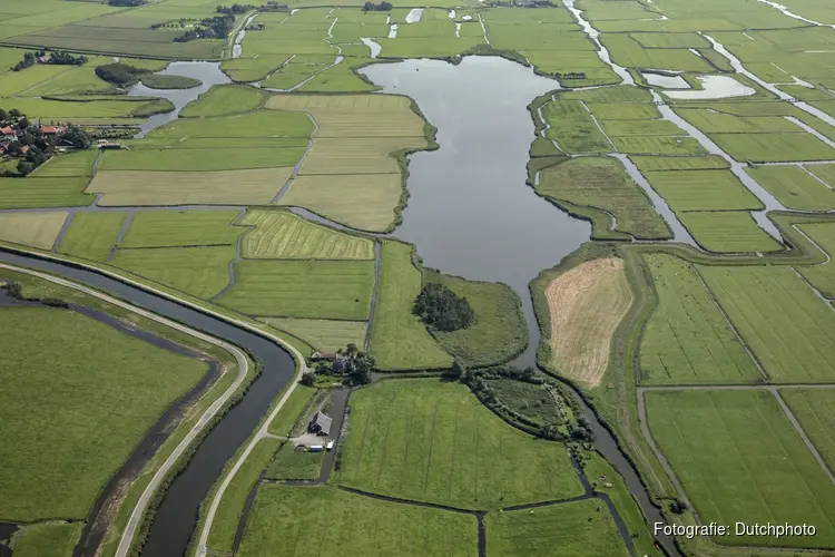 Vaarexcursie naar bijzondere vogels in de Eilandspolder