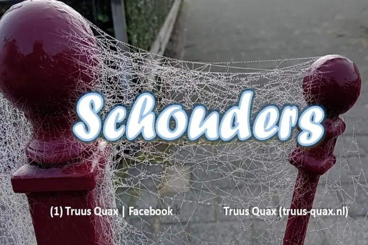 Schouders