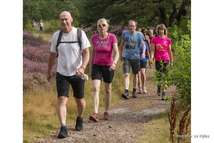 Wandelen? Geef je nu op voor de gratis proeflessen!