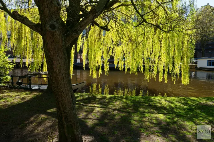 Het belang van groenvoorziening in de stad