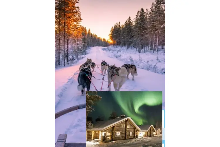 Lapland voor families, groepen en singlereizen. Of je nu met je gezin, een groep vrienden of solo reist....