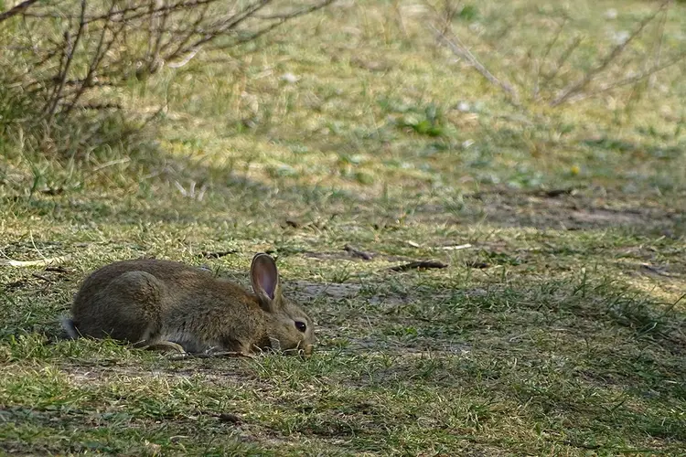 Zondag 3 november 2024 wandeling door een absoluut niet saaie natuur