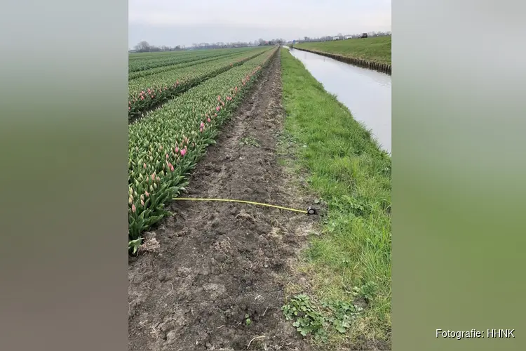 Hoogheemraadschap voert jaarlijkse controle afvalwater bollentelers uit