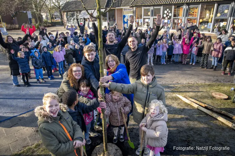 Gemeente Alkmaar plant 160 bomen op schoolpleinen