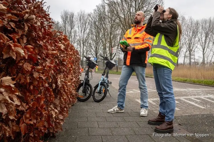 Gemeente Alkmaar inventariseert beschermde vogel- en vleermuissoorten